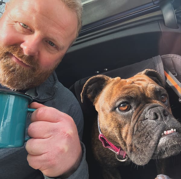 The Dog Update
